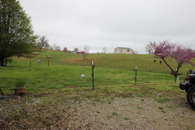 155 Eugene Harness Road Science Hill, KY 42553 - Photo 100 of 101 IMG_5677