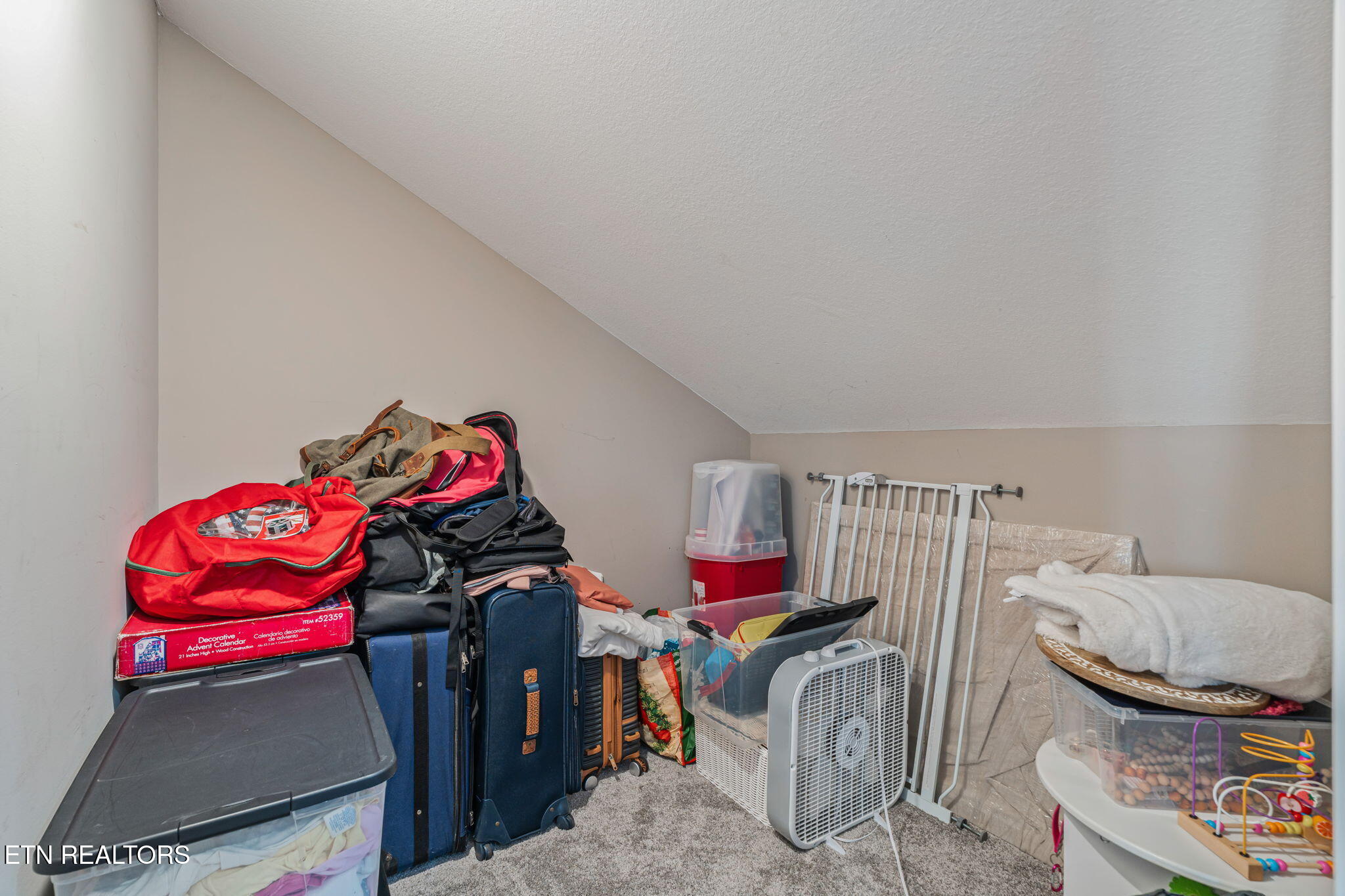 102 Eastberry Road Oak Ridge, TN 37830 - Photo 39 of 60 Bedroom 4 Closet