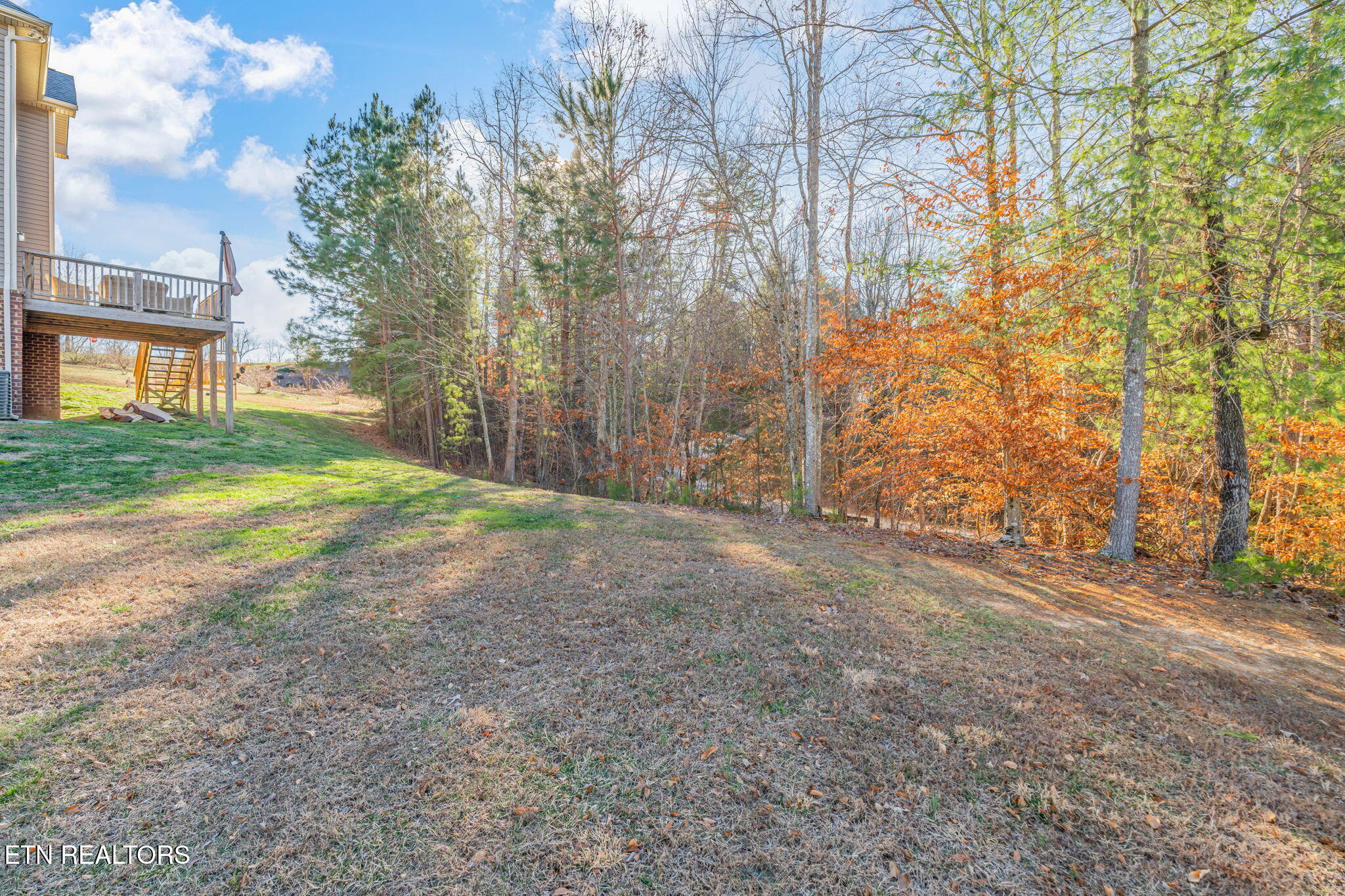102 Eastberry Road Oak Ridge, TN 37830 - Photo 45 of 60 Large yard