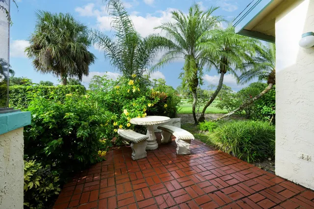 a view of a backyard with plants and palm trees