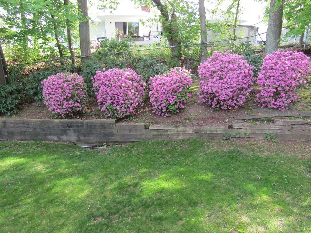 237 Reney Street Fall River, MA 02723 - Photo 13 of 14 Gallery Image 13