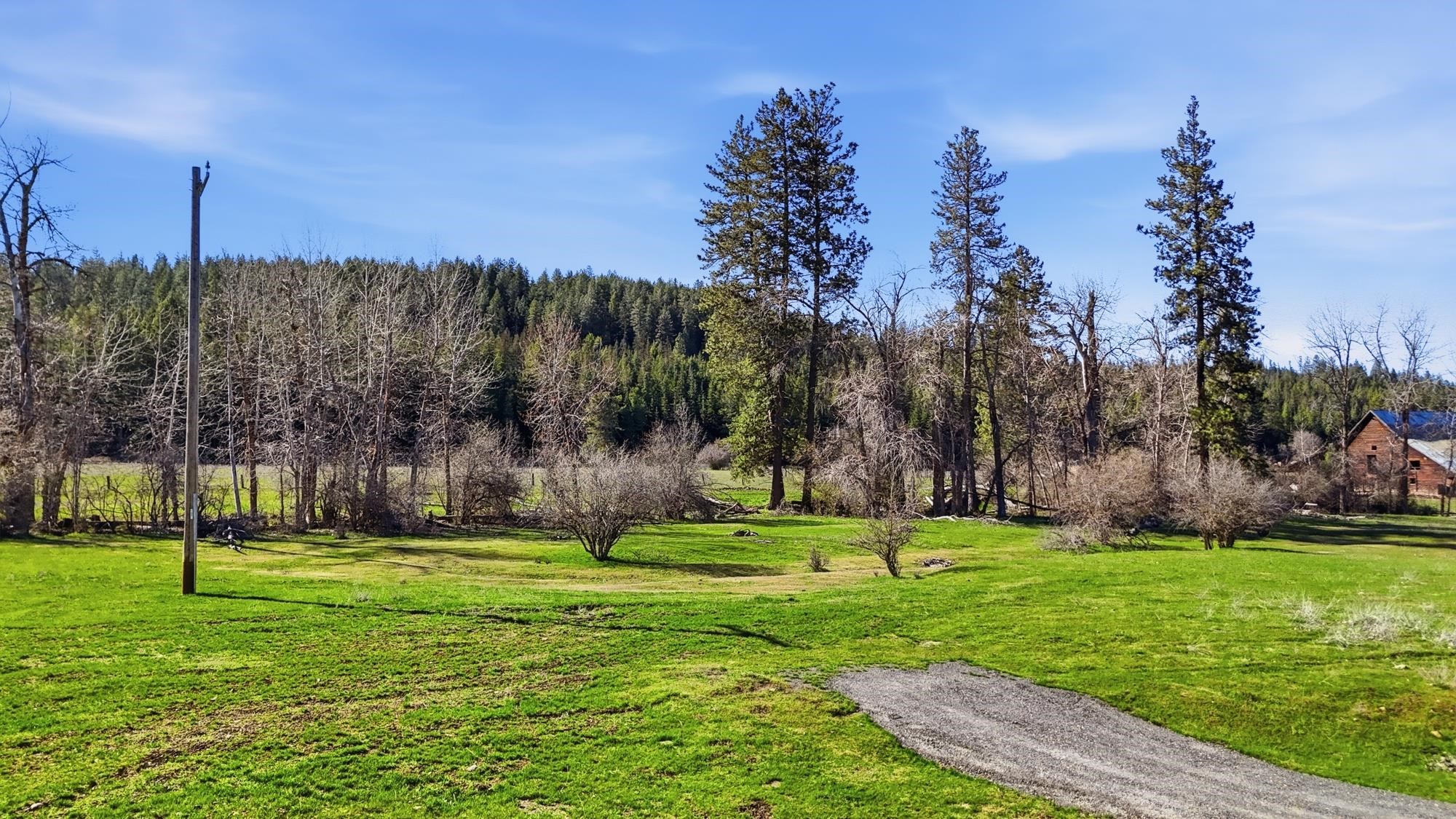 3564 Long Prairie Road Valley, WA 99181 - Photo 2 of 26