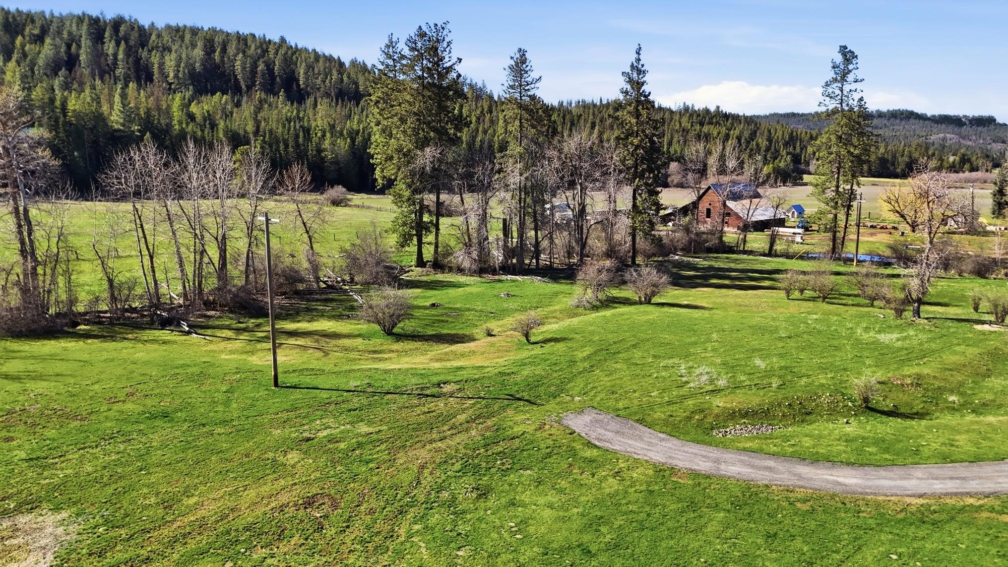 3564 Long Prairie Road Valley, WA 99181 - Photo 3 of 26