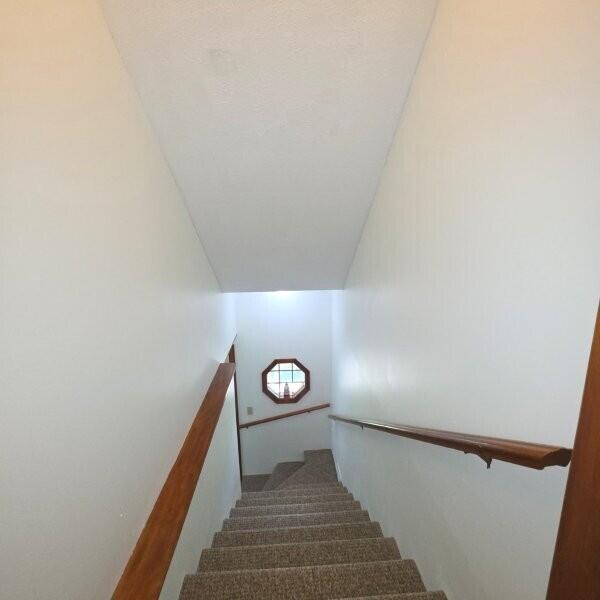 212 Timoney Lake Road Smyrna, ME 04780 - Photo 19 of 50 Newly carpeted stairs