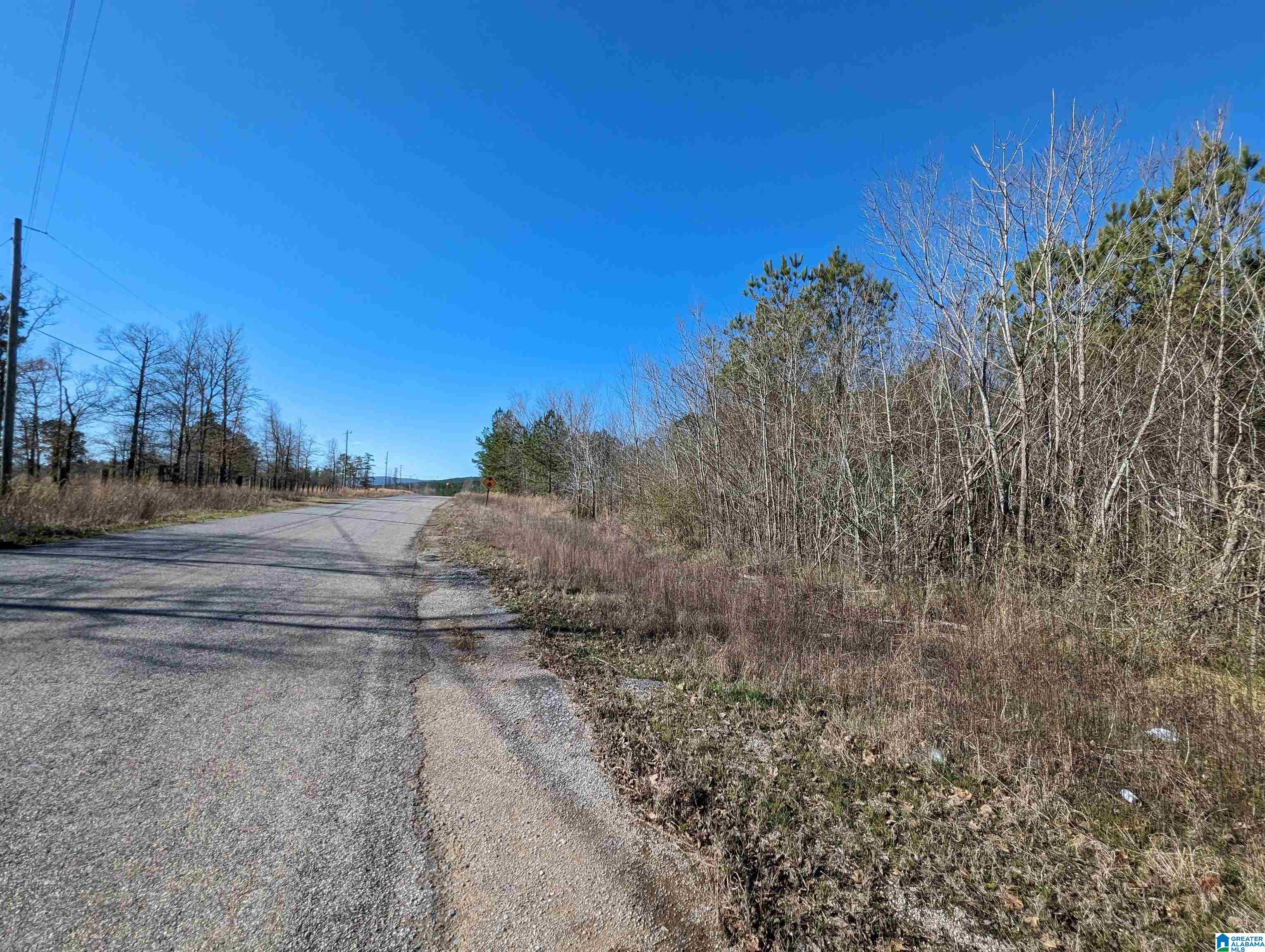 0 Chandler Springs Road Talladega, AL 35160 - Photo 4 of 35