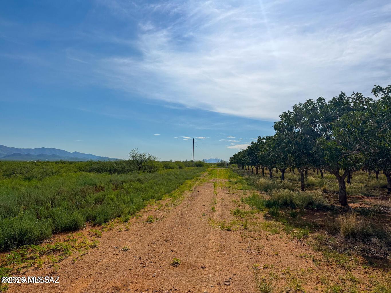 0 East Phillips Road Willcox, AZ 85643 - Photo 9 of 22 20260817215043502862000000-o (1)