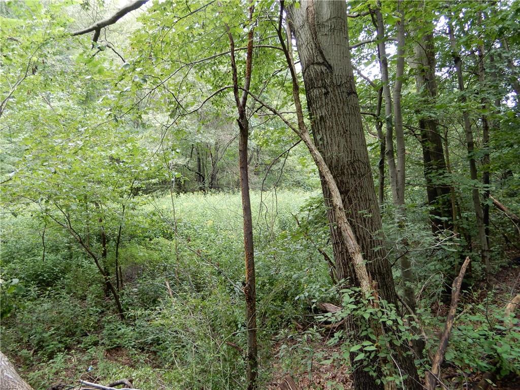 302 Coleman Road McDonald, PA 15057 - Photo 8 of 10 Gallery Image 8