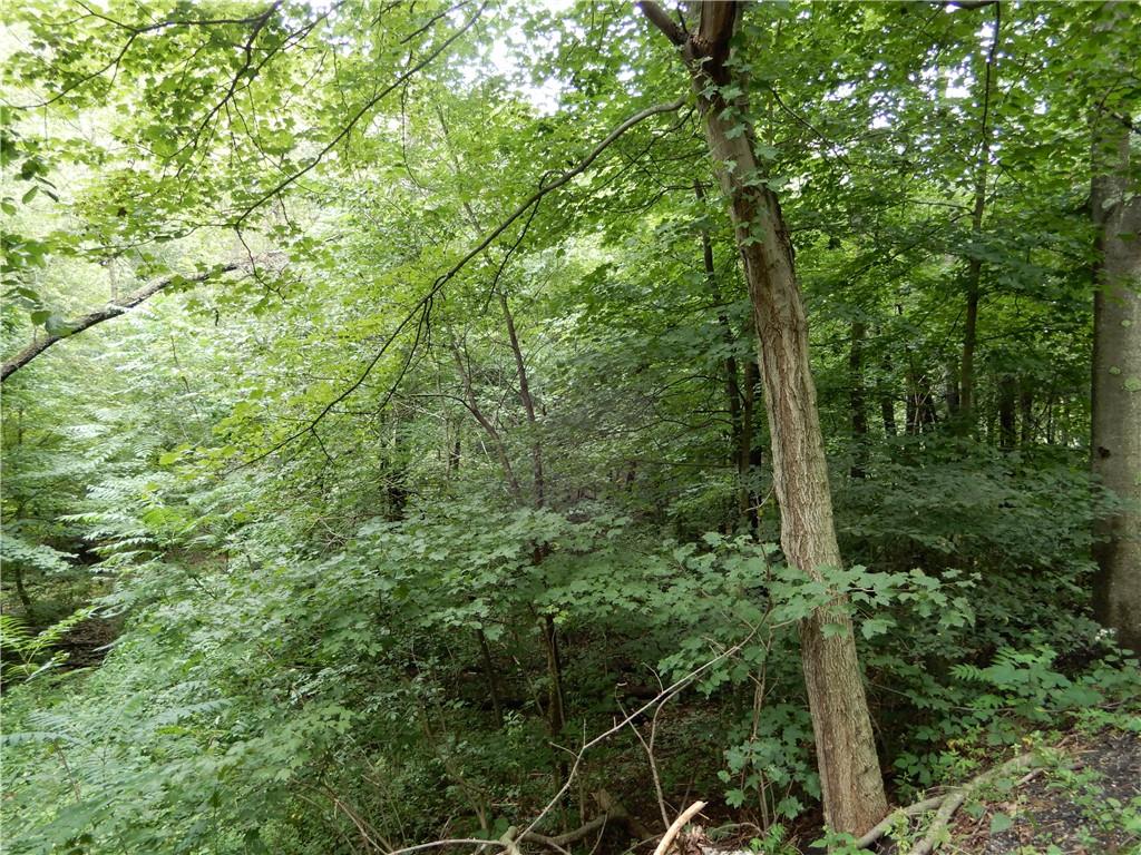 302 Coleman Road McDonald, PA 15057 - Photo 10 of 10 Gallery Image 10