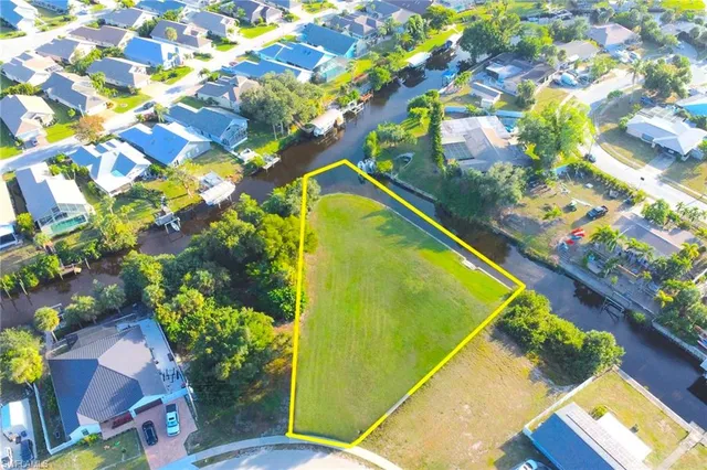 a picture of flowers