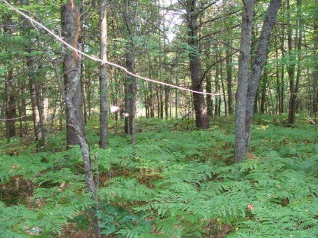 6270 East County Line Road South Branch, MI 48761 - Photo 27 of 29 DSC03516