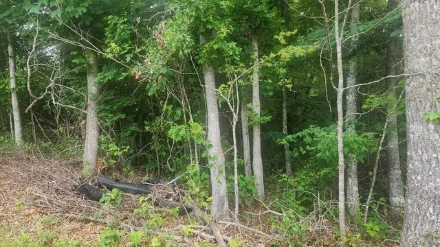 $275,000 | 2739 Sr 399, Palmer, TN 37365