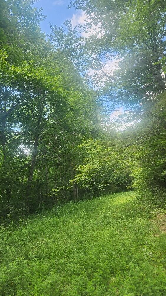 2739 Sr 399 Palmer, TN 37365 - Photo 24 of 31 20250709_133052_resized