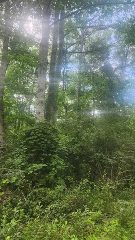 $275,000 | 2739 Sr 399, Palmer, TN 37365