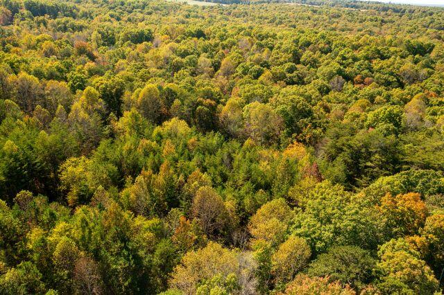 2739 Sr 399 Palmer, TN 37365 - Photo 31 of 31 DJI_0994 (1)