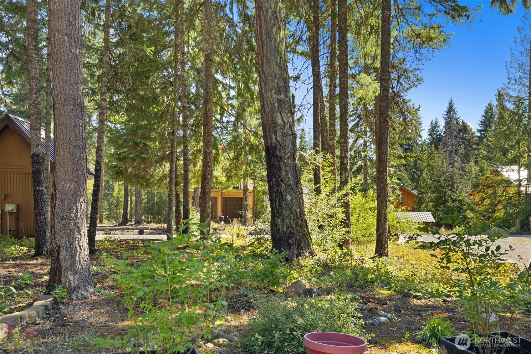 346 Kachess River Road Easton, WA 98925 - Photo 31 of 39 Gallery Image 31