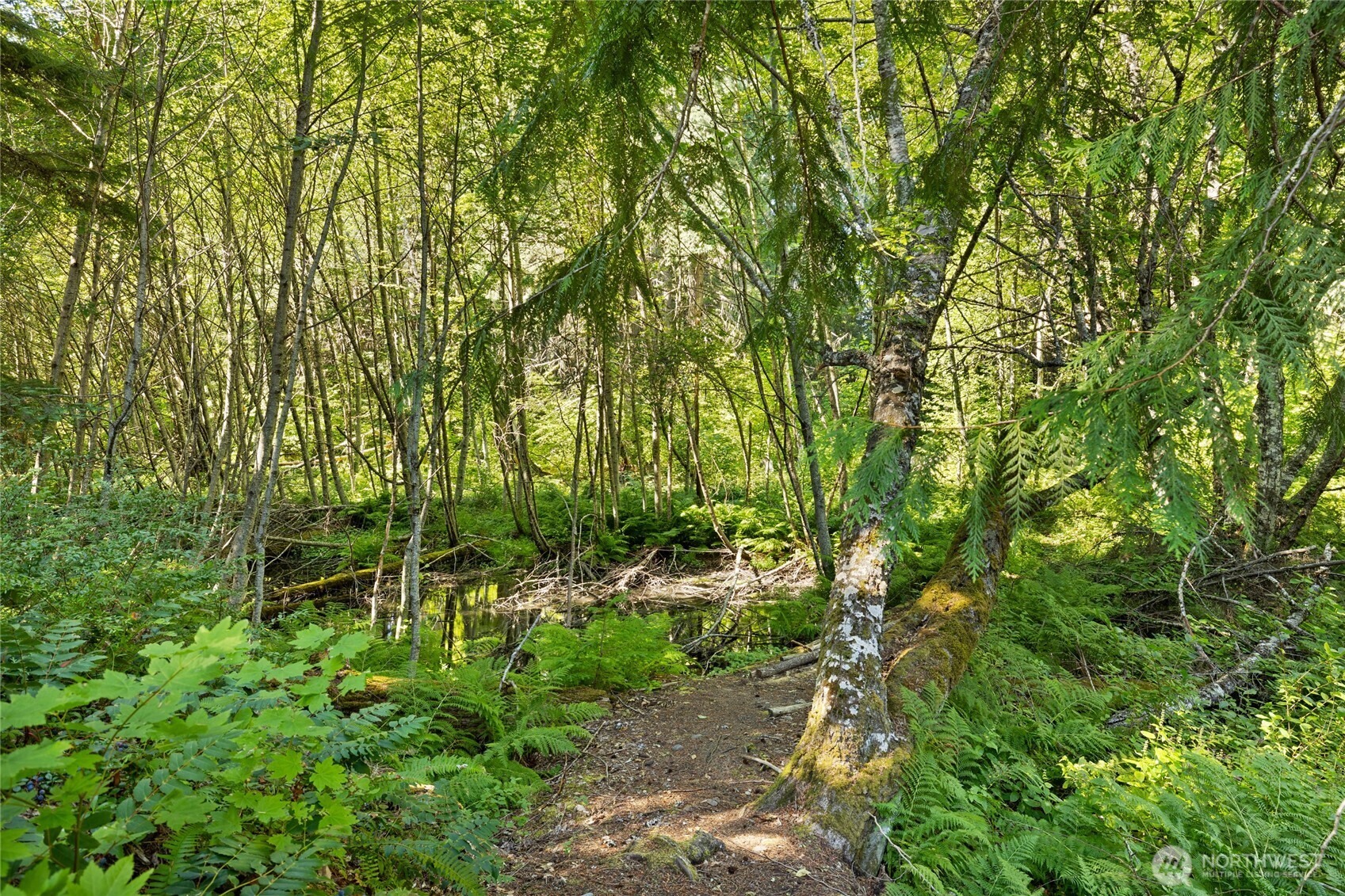 346 Kachess River Road Easton, WA 98925 - Photo 37 of 39 Gallery Image 37