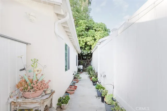 a potted plant sitting in front of a house