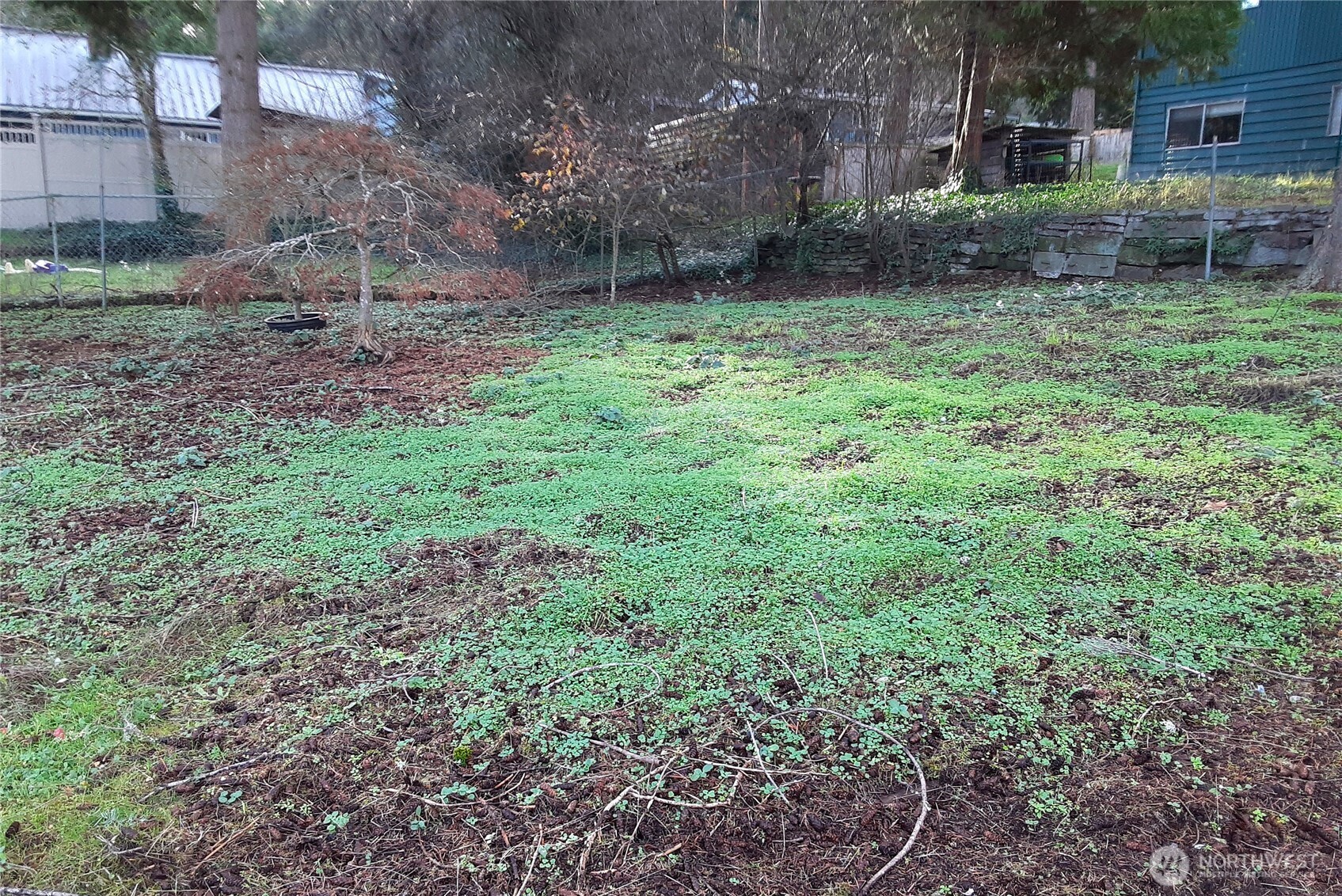 19015 16th Avenue Northeast Shoreline, WA 98155 - Photo 36 of 37 a view of a yard with plants and a bench