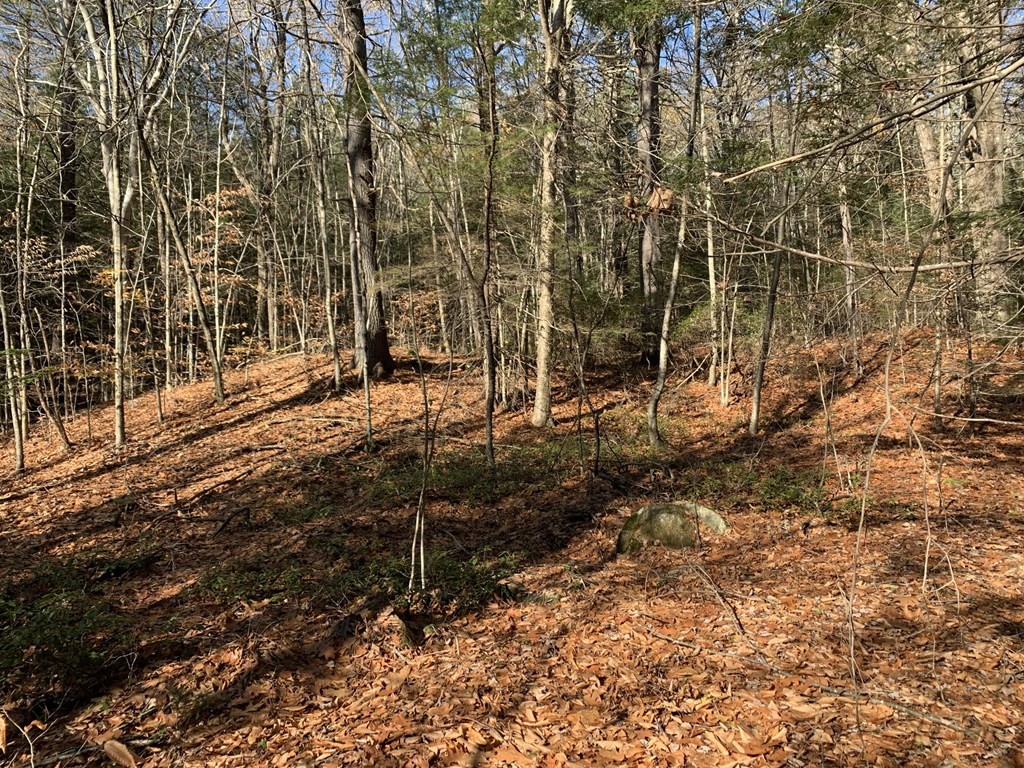 0 Lockes Village Road Wendell, MA 01379 - Photo 5 of 14 Gallery Image 5