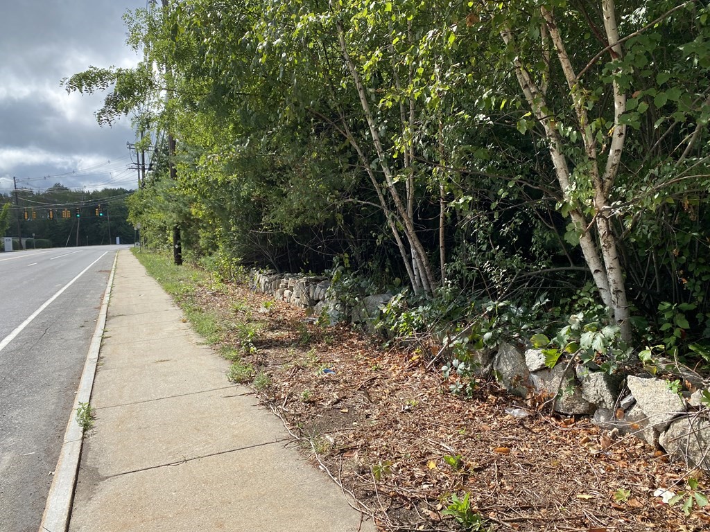 70 South Street Hopkinton, MA 01748 - Photo 1 of 7 a view of a pathway both side of yard