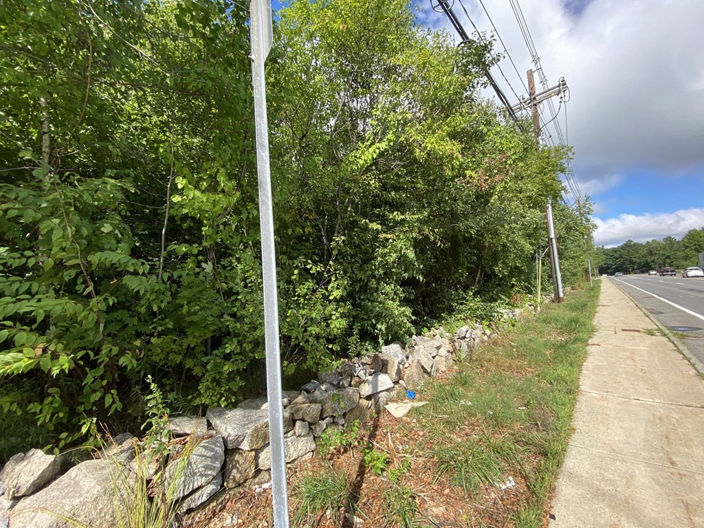 70 South Street Hopkinton, MA 01748 - Photo 4 of 7 a view of a yard with plants and large trees