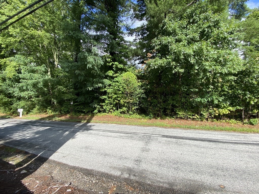 70 South Street Hopkinton, MA 01748 - Photo 5 of 7 a view of a yard with a trees