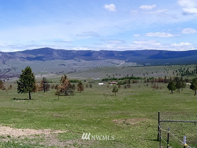 212 Hosheit Road Riverside, WA 98849 - Photo 23 of 25 Gallery Image 23