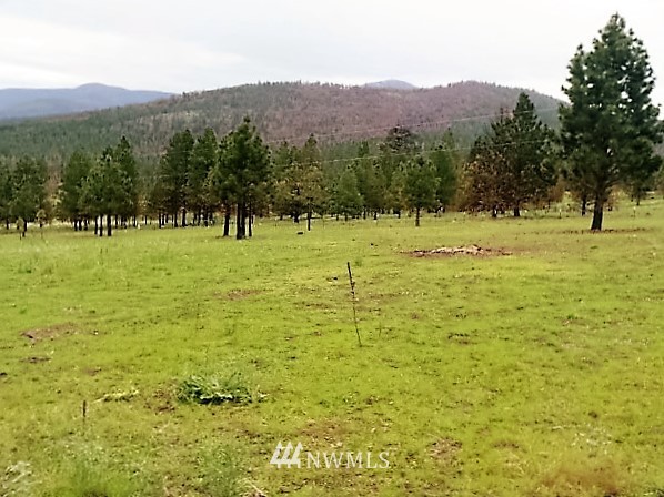 212 Hosheit Road Riverside, WA 98849 - Photo 24 of 25 Gallery Image 24