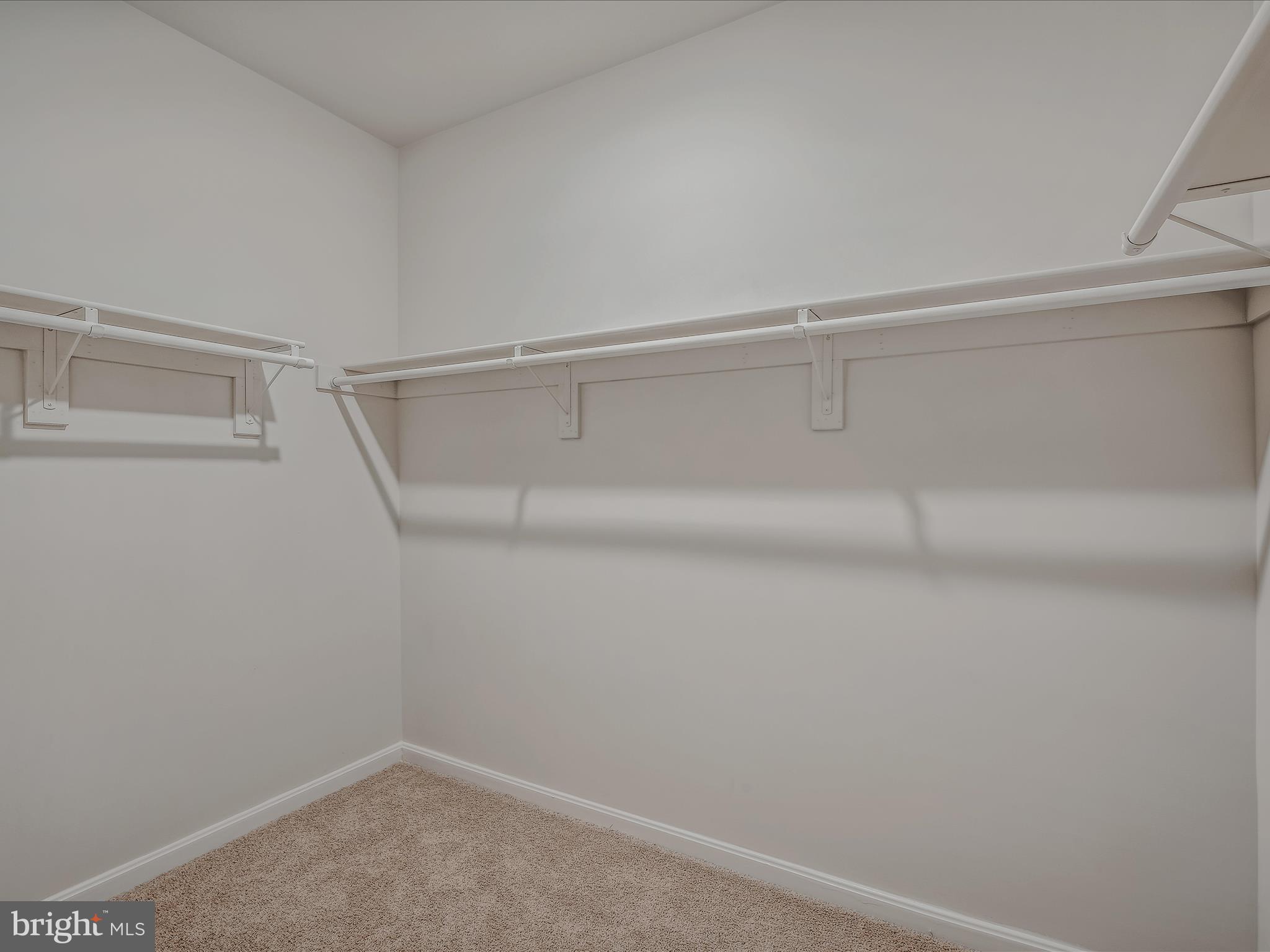 290 Scoter Road Hedgesville, WV 25427 - Photo 27 of 44 Primary Closet