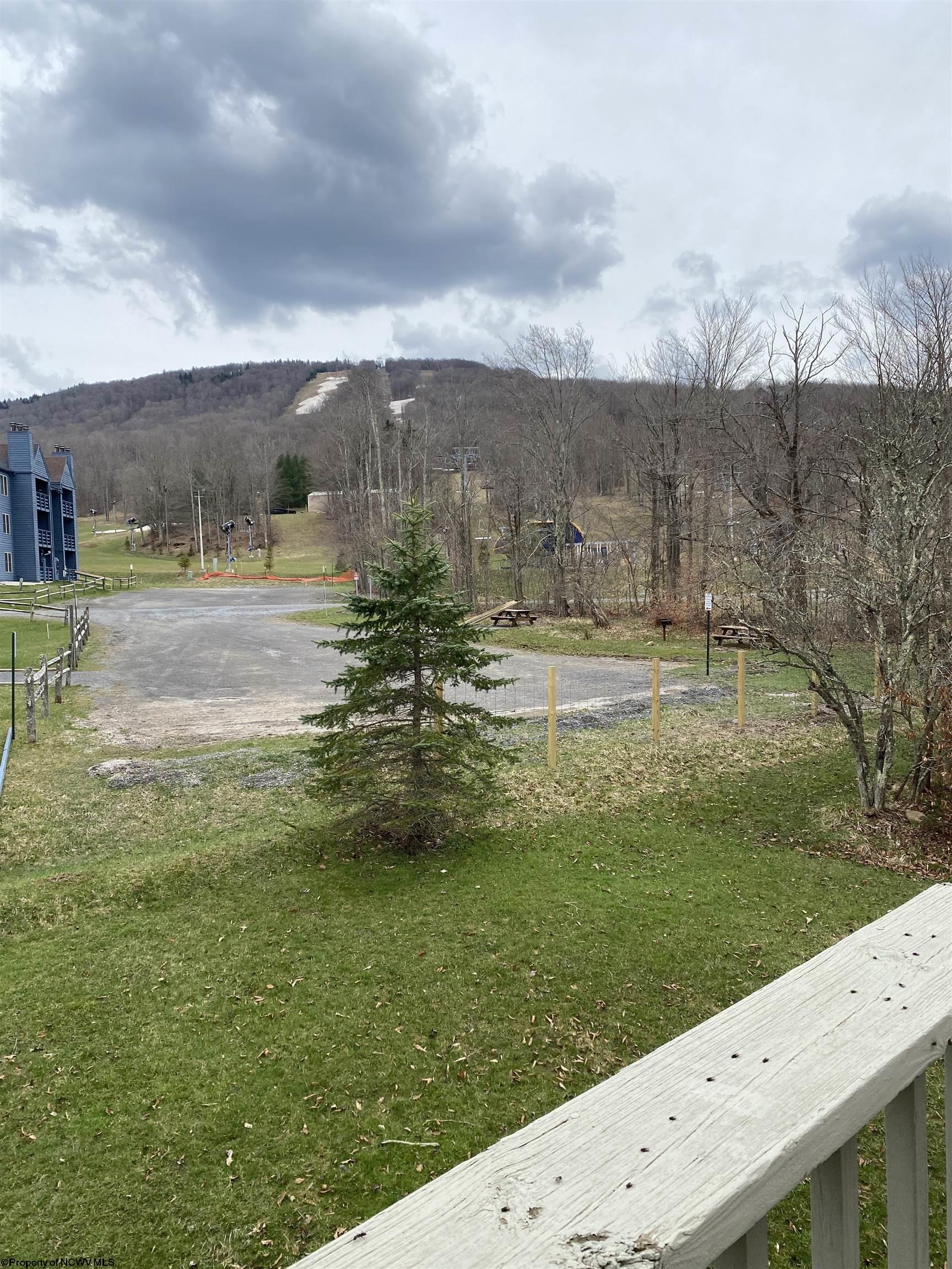 189 Yoakum Run Road Davis, WV 26260 - Photo 22 of 37 Gallery Image 22