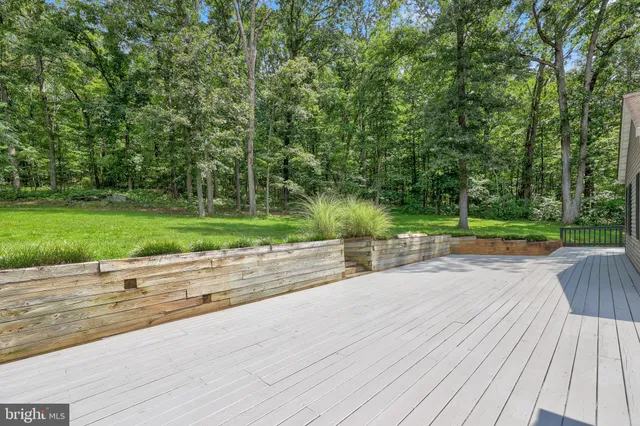 a view of a house with a backyard and a large tree