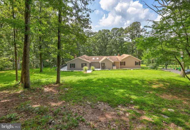 a view of outdoor space with trees