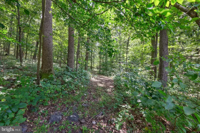 $935,000 | 7333 Fox Call Lane, Warrenton, VA 20186