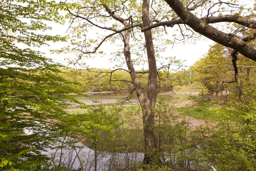 14 Goose Point Road Kittery, ME 03905 - Photo 37 of 40