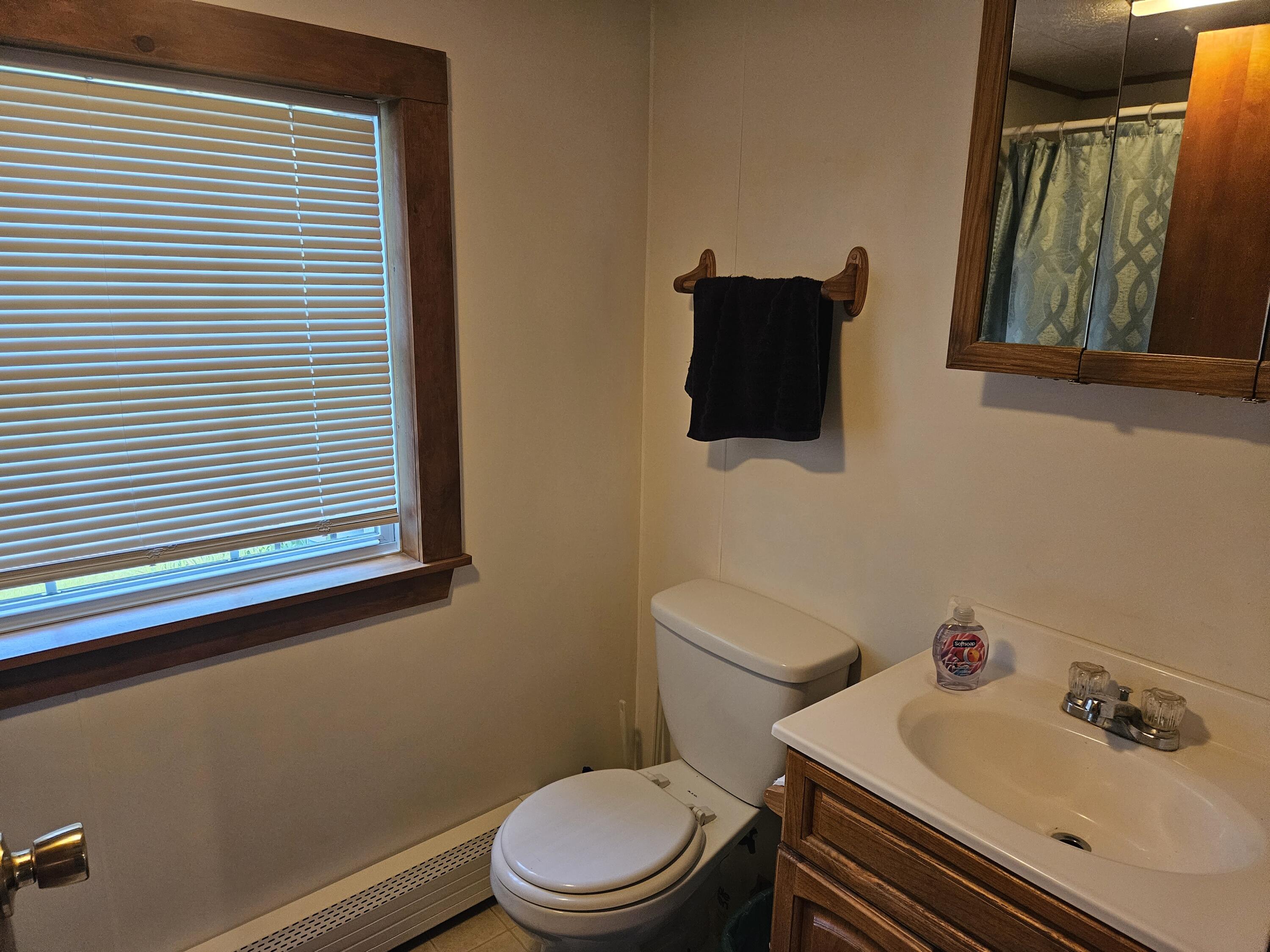 657 Mohawk Road Lincoln, ME 04457 - Photo 13 of 24 Bathroom