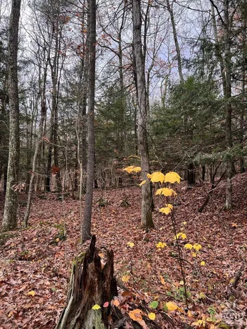 $69,000 | 91 Laurie Lane, Earlton, NY 12058