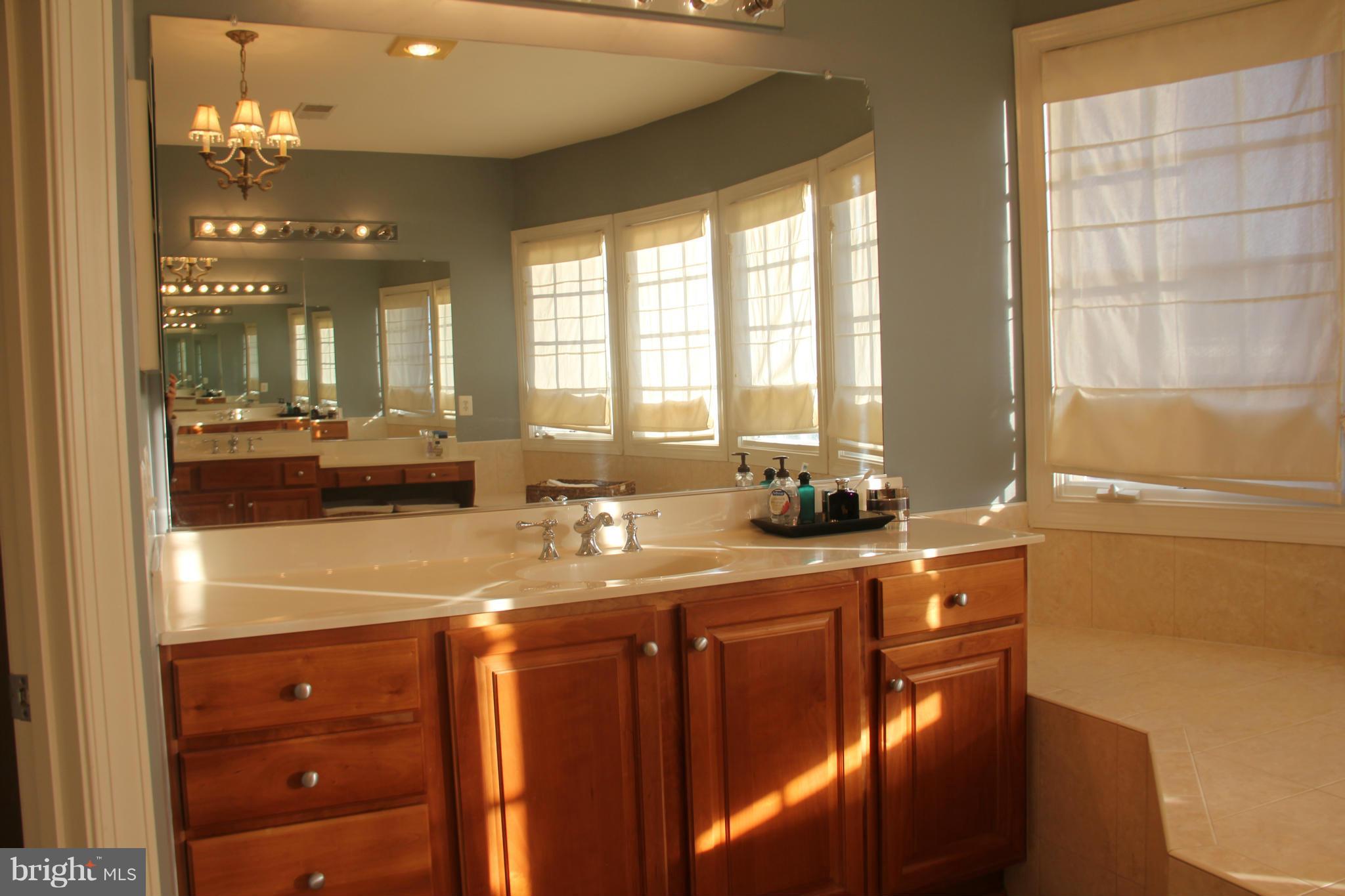 15009 Ransom Oaks Court Gainesville, VA 20155 - Photo 21 of 21 Bath (Master)
