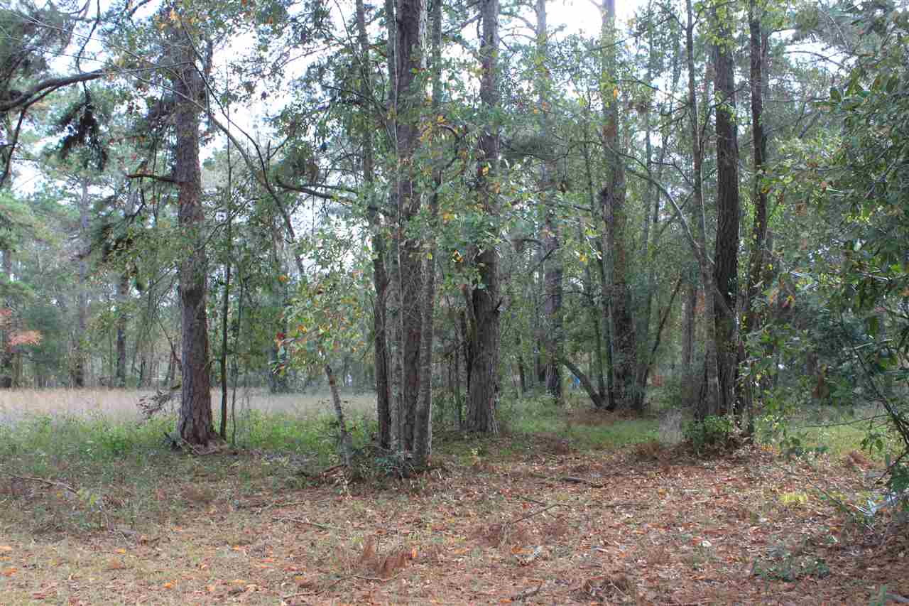8937 Centerville Road Tallahassee, FL 32309 - Photo 30 of 31 Gallery Image 30