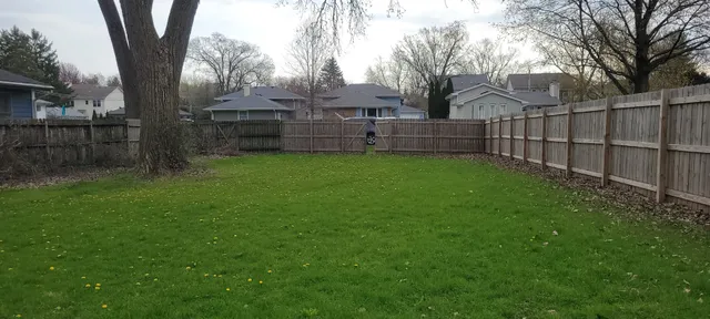 a view of backyard with wooden fence and large trees