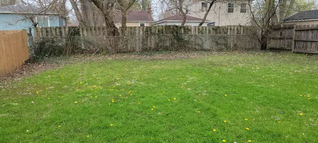 a view of backyard with green space