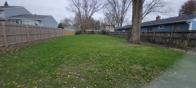 a view of a backyard with a large tree