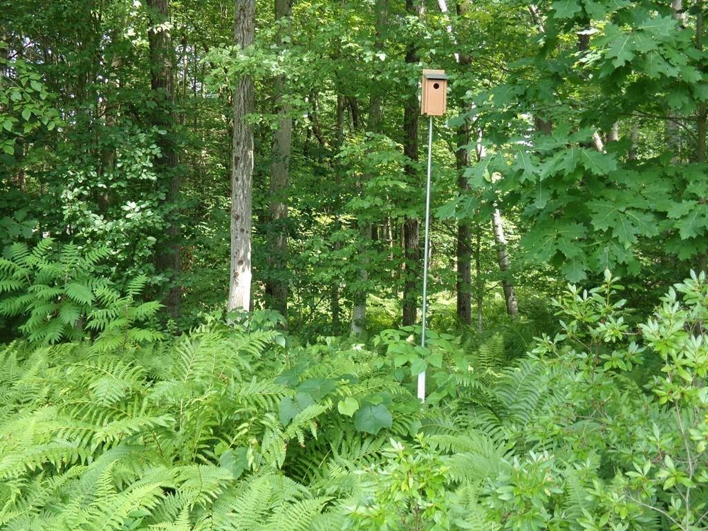 16 Arlington Road Amherst, MA 01002 - Photo 30 of 33 Gallery Image 30