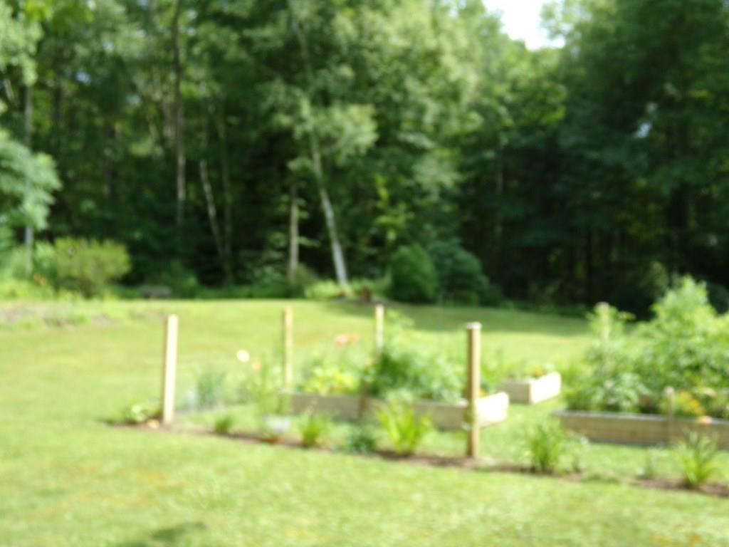 16 Arlington Road Amherst, MA 01002 - Photo 33 of 33 Gallery Image 33