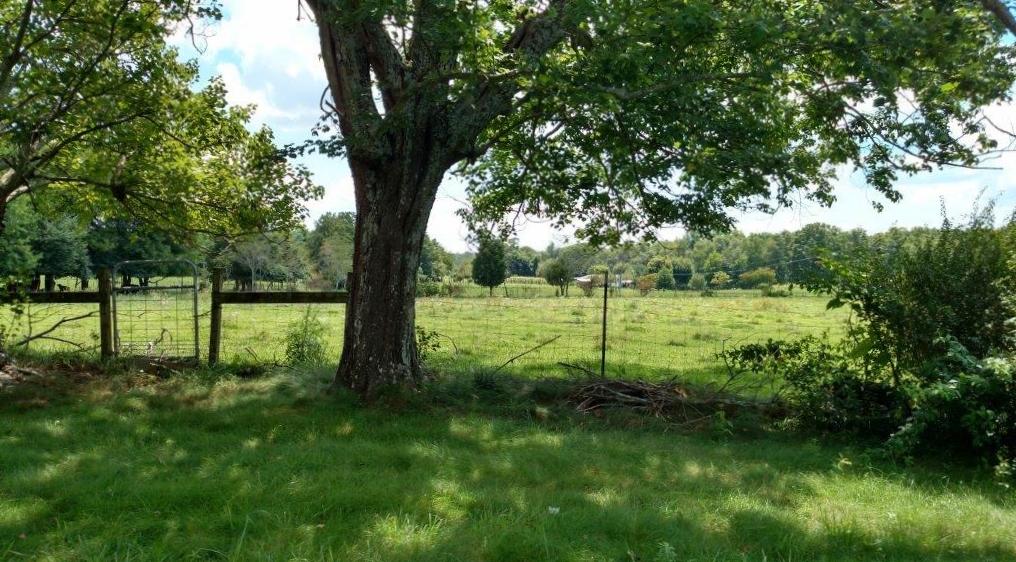 651 Brewer Road Crossville, TN 38572 - Photo 3 of 4 3-Property View 651 Brewer Rd