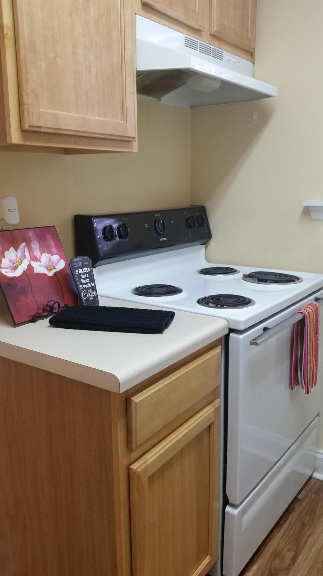 715 Andrea Lane Hanahan, SC 29410 - Photo 11 of 40 Electric Range