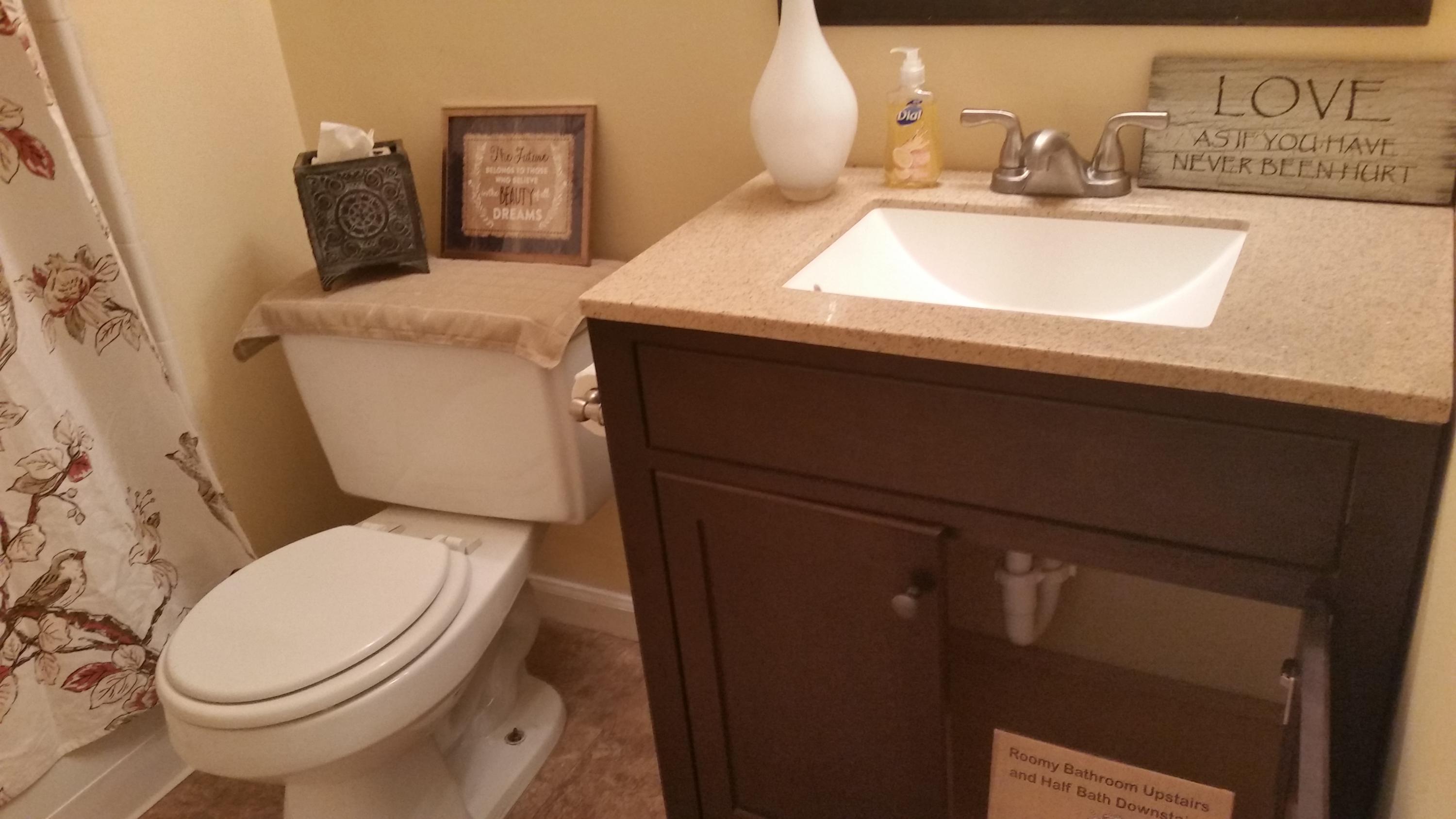 715 Andrea Lane Hanahan, SC 29410 - Photo 23 of 40 Upstairs Bathroom