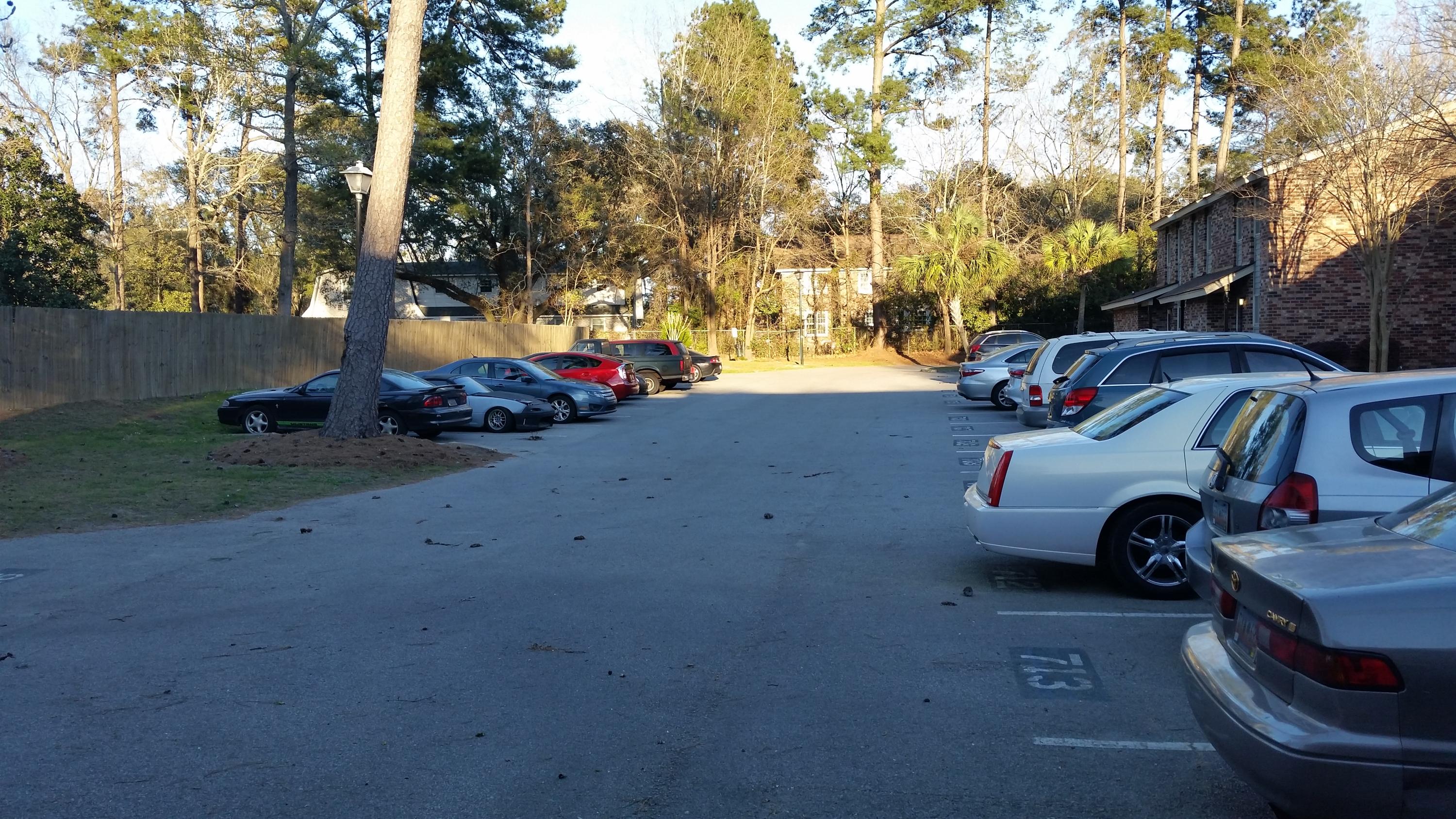 715 Andrea Lane Hanahan, SC 29410 - Photo 39 of 40 Offstreet Parking