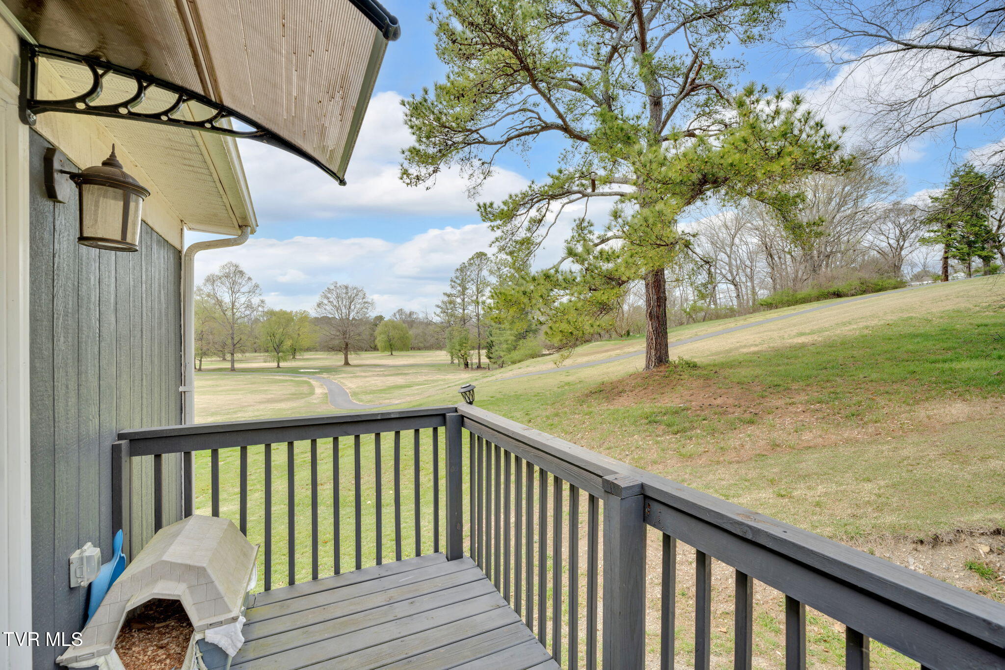 2100 Longreen Road Kingsport, TN 37660 - Photo 47 of 53 40-web-or-mls-DSC07320