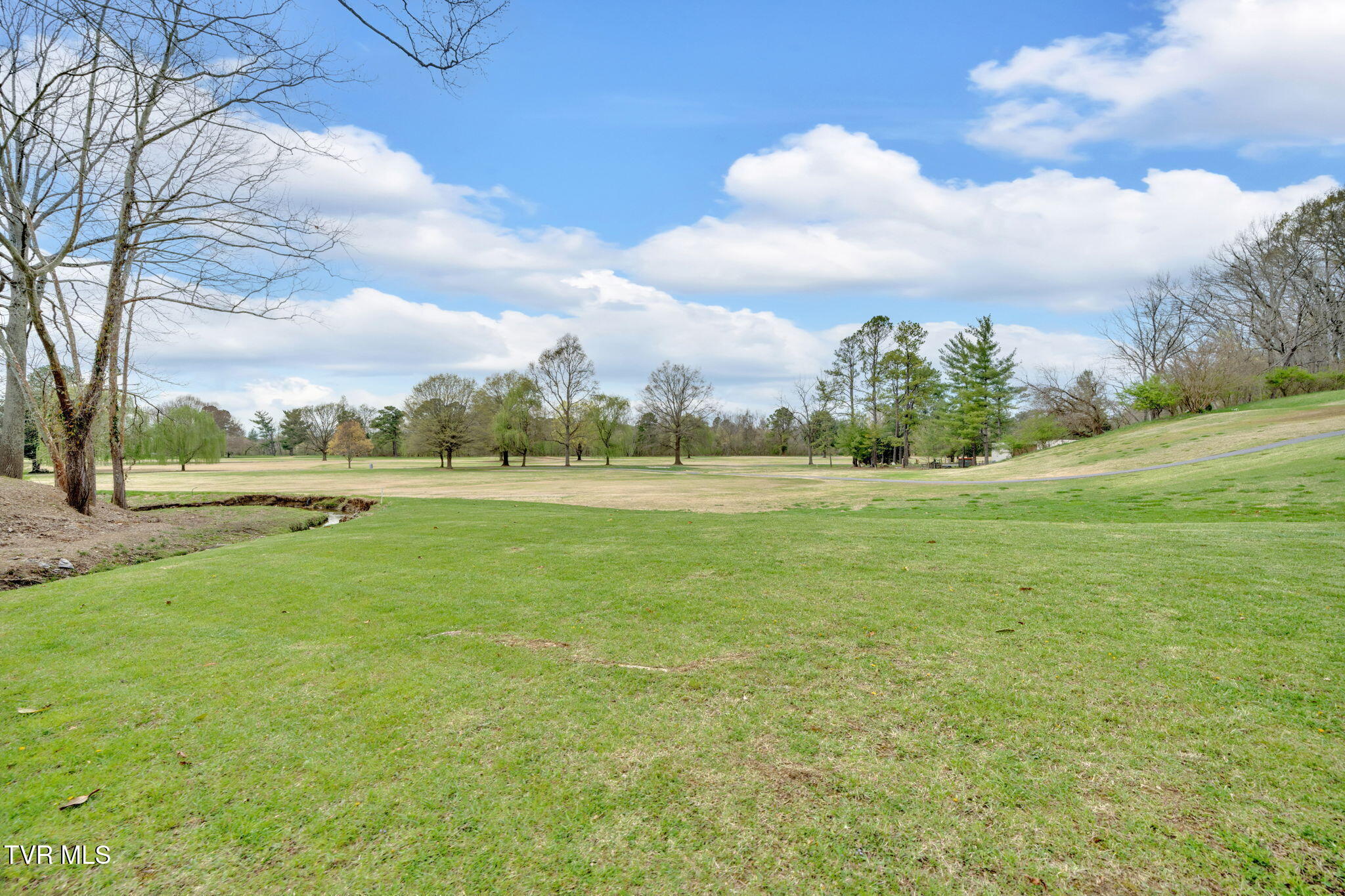 2100 Longreen Road Kingsport, TN 37660 - Photo 5 of 53 10-web-or-mls-DSC07227