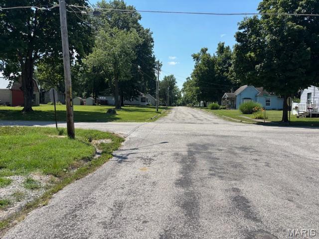 715 South Hamilton Street Marissa, IL 62257 - Photo 5 of 30